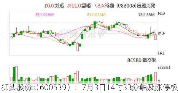 狮头股份（600539）：7月3日14时33分触及涨停板