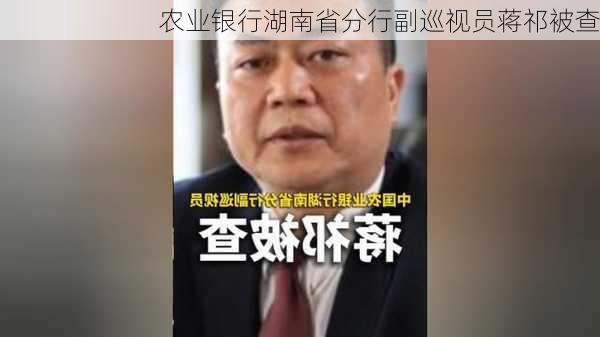 农业银行湖南省分行副巡视员蒋祁被查