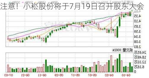 注意！小崧股份将于7月19日召开股东大会