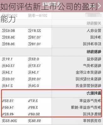 如何评估新上市公司的盈利能力