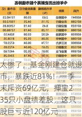 太惨了，基金刚建仓就退市，暴跌近81%！一季末斥资69亿元，押宝235只小盘绩差股，这只股巨亏近120亿元