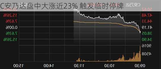 C安乃达盘中大涨近23% 触发临时停牌