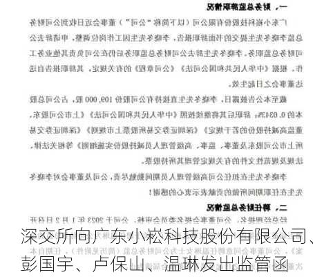 深交所向广东小崧科技股份有限公司、彭国宇、卢保山、温琳发出监管函