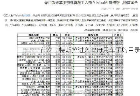 首次！特斯拉进入政府用车采购目录