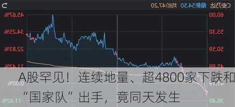 A股罕见！连续地量、超4800家下跌和“国家队”出手，竟同天发生