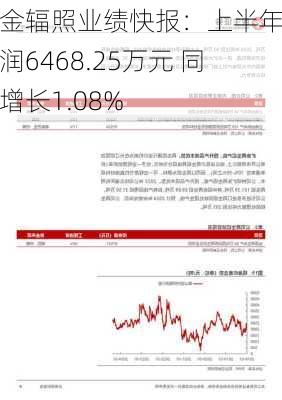 中金辐照业绩快报：上半年净利润6468.25万元 同比增长1.08%