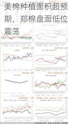 美棉种植面积超预期，郑棉盘面低位震荡