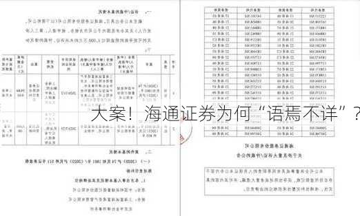 大案！海通证券为何“语焉不详”？