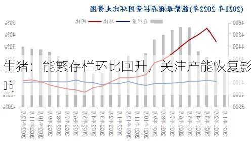 生猪：能繁存栏环比回升，关注产能恢复影响