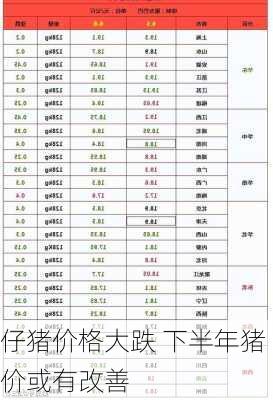 仔猪价格大跌 下半年猪价或有改善