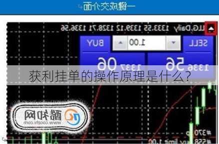 获利挂单的操作原理是什么？