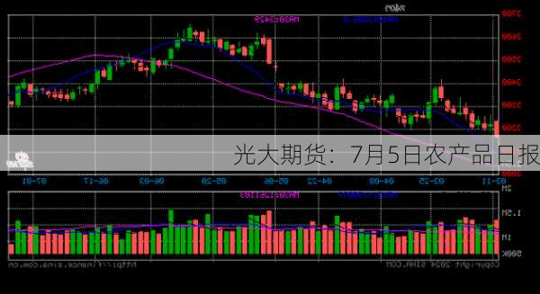 光大期货：7月5日农产品日报