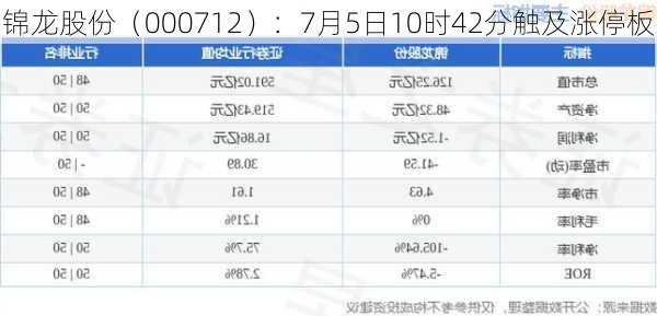 锦龙股份（000712）：7月5日10时42分触及涨停板