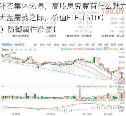 内外资集体热捧，高股息究竟有什么魅力？大盘震荡之际，价值ETF（510030）防御属性凸显！