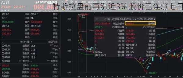 特斯拉盘前再涨近3% 股价已连涨七日