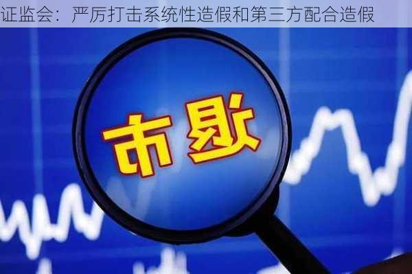 证监会：严厉打击系统性造假和第三方配合造假