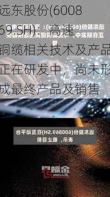 远东股份(600869.SH)：高速铜缆相关技术及产品正在研发中，尚未形成最终产品及销售