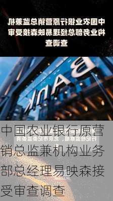 中国农业银行原营销总监兼机构业务部总经理易映森接受审查调查