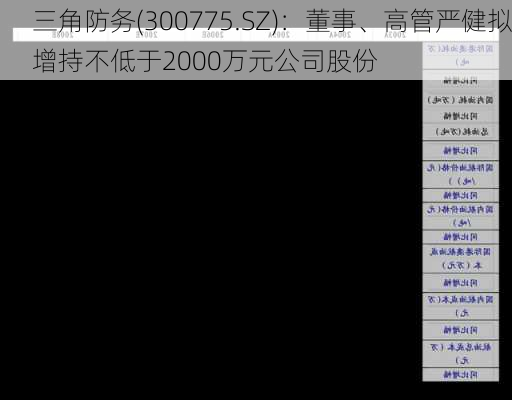 三角防务(300775.SZ)：董事、高管严健拟增持不低于2000万元公司股份