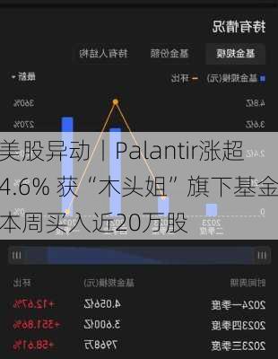 美股异动丨Palantir涨超4.6% 获“木头姐”旗下基金本周买入近20万股