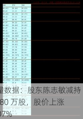 海量数据：股东陈志敏减持 61.80 万股，股价上涨 1.07%