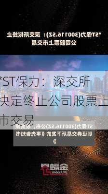 *ST保力：深交所决定终止公司股票上市交易