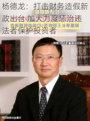 杨德龙：打击财务造假新政出台 加大力度惩治违法者保护投资者