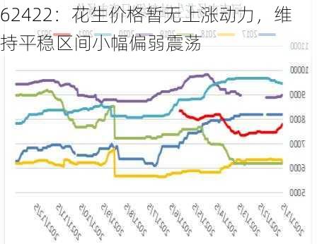 62422：花生价格暂无上涨动力，维持平稳区间小幅偏弱震荡