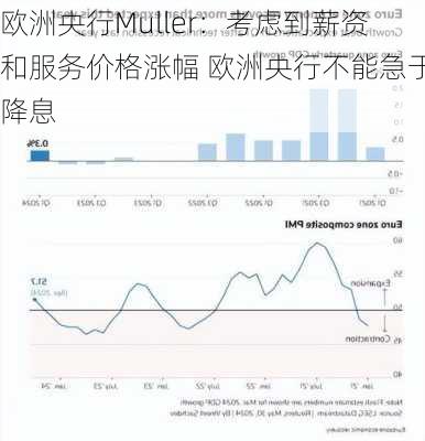 欧洲央行Muller：考虑到薪资和服务价格涨幅 欧洲央行不能急于降息