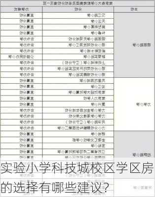 实验小学科技城校区学区房的选择有哪些建议？