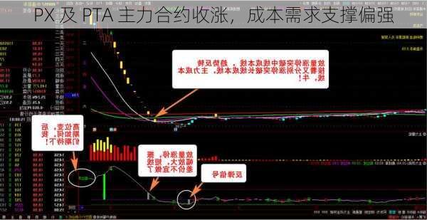 PX 及 PTA 主力合约收涨，成本需求支撑偏强