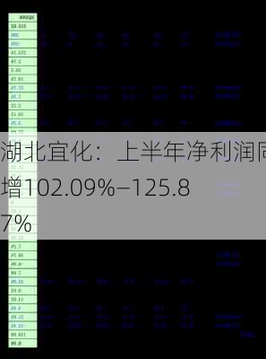 湖北宜化：上半年净利润同比预增102.09%―125.87%