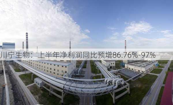 川宁生物：上半年净利润同比预增86.76%-97%