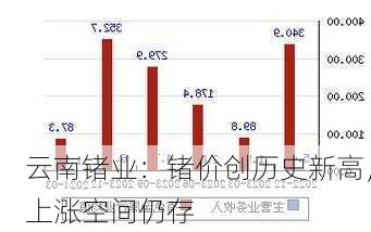 云南锗业：锗价创历史新高，上涨空间仍存