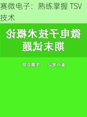 赛微电子：熟练掌握 TSV 技术