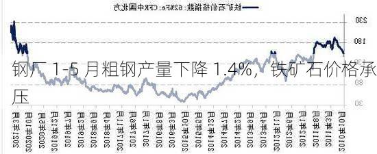 钢厂 1-5 月粗钢产量下降 1.4%，铁矿石价格承压