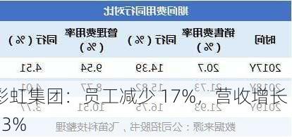 彩虹集团：员工减少 17%，营收增长 13%