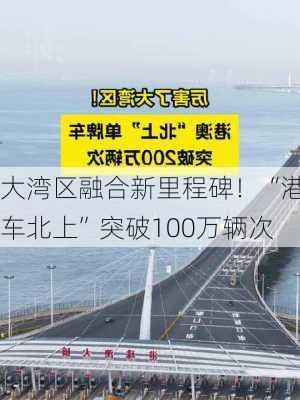 大湾区融合新里程碑！“港车北上”突破100万辆次