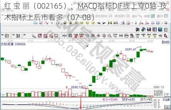 红 宝 丽（002165）：MACD指标DIF线上穿0轴-技术指标上后市看多（07-08）