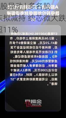 A股异动 | 多名股东拟减持 纳芯微大跌超11%