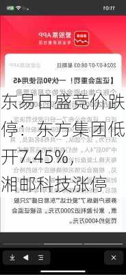 东易日盛竞价跌停：东方集团低开7.45%，湘邮科技涨停