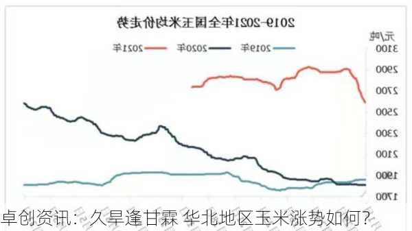 卓创资讯：久旱逢甘霖 华北地区玉米涨势如何？