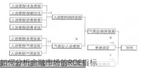 如何分析金融市场的ROE指标