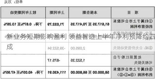 新业务短期影响盈利 领益智造上半年净利预降约四成