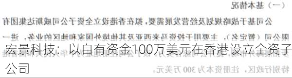 宏景科技：以自有资金100万美元在香港设立全资子公司