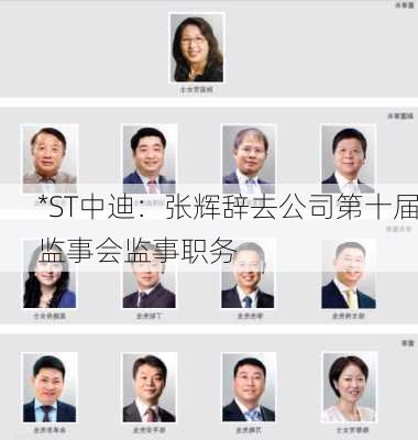 *ST中迪：张辉辞去公司第十届监事会监事职务