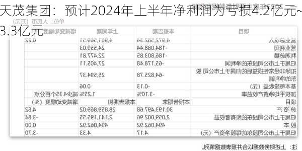 天茂集团：预计2024年上半年净利润为亏损4.2亿元~3.3亿元