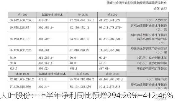 大叶股份：上半年净利同比预增294.20%―412.46%