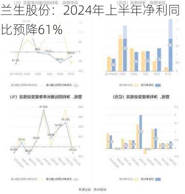 兰生股份：2024年上半年净利同比预降61%