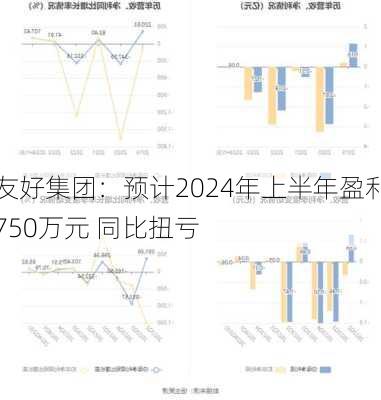 友好集团：预计2024年上半年盈利750万元 同比扭亏